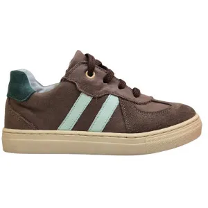 POLLINO CIPELE BROWN
