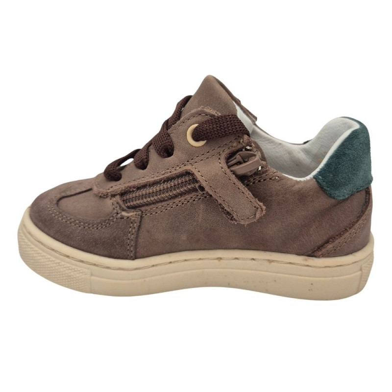 POLLINO CIPELE BROWN 