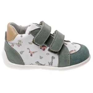 POLLINO CIPELE GREEN
