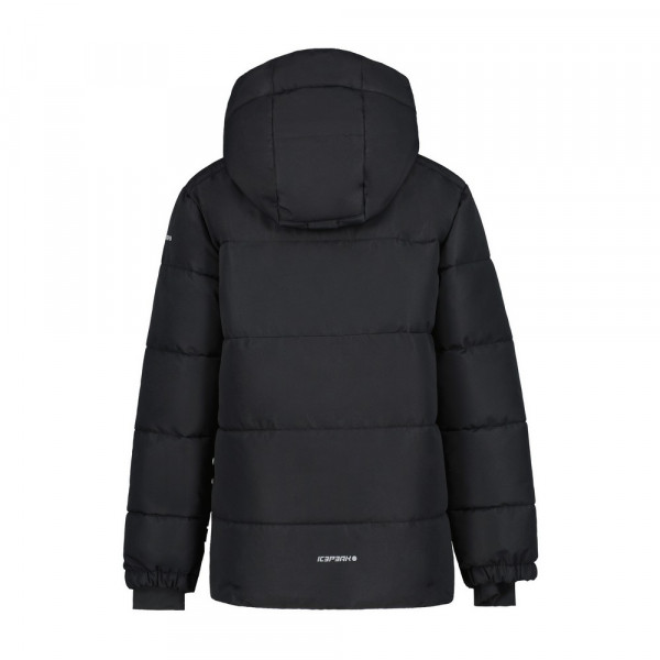 ICEPEAK LOUIN JR