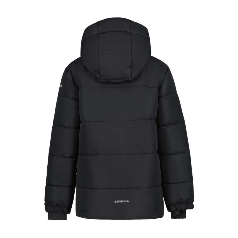 ICEPEAK LOUIN JR