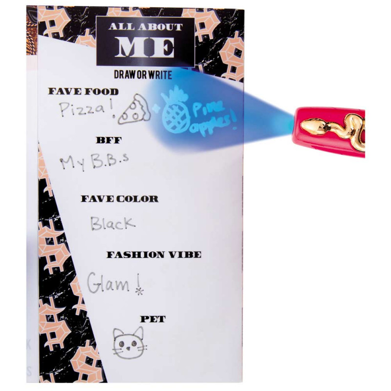 LOL OMG SECRET JOURNAL SET