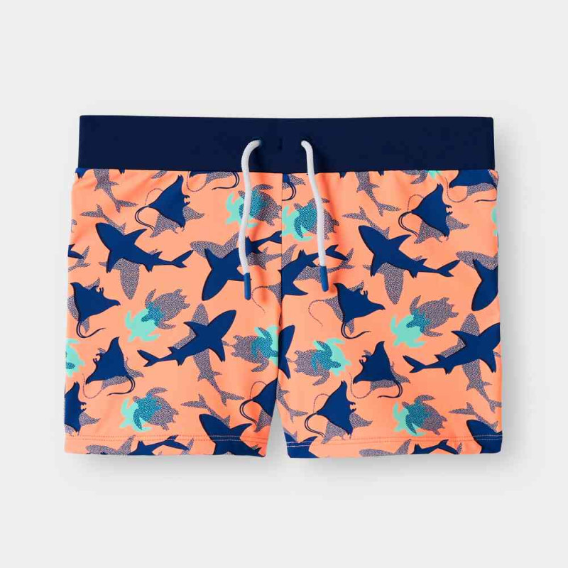 OKAIDI KUPACI BASILE 