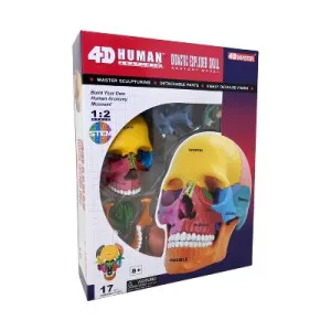 4D LJUDSKA ANATOMIJA - DIDAKTIČKI MODEL LOBANJE