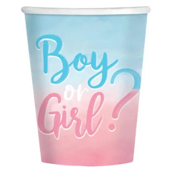 CASA PAPIRNA BOY OR GIRL 250ML, 8KOM