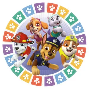 AMSCAN TANJIRICI 23CM PAW PATROL