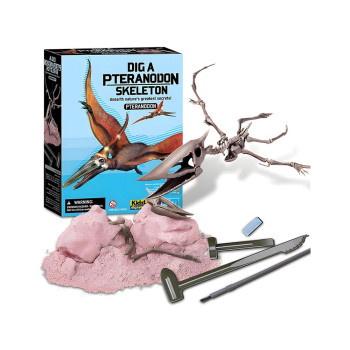 4M ISKOPAJ SKELET DINOSAURUSA PTERANODON 