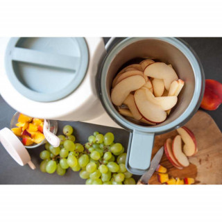 BEABA APARAT BABYCOOK NEO GREY-WHITE