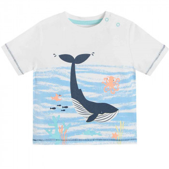 COOL CLUB MAJICA KRATAK RUKAV T-SHIRT S/S 