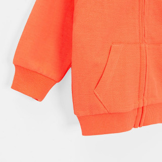 COOL CLUB DUKS ORANGE BOTANIC