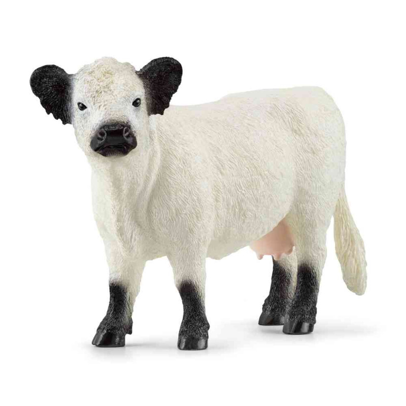 SCHLEICH KRAVA GALLOWAY 