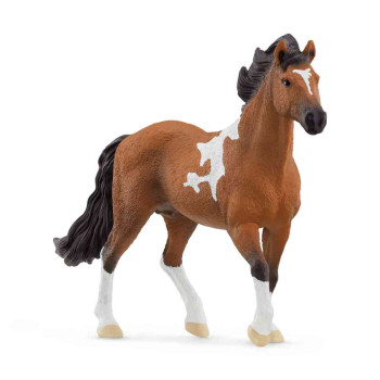 SCHLEICH MANGALARGA PASTUV 