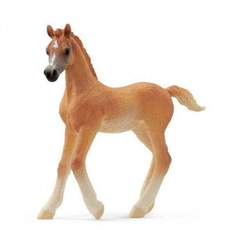 SCHLEICH ARABIAN ZDREBE 