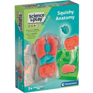CLEMENTONI ANATOMIA SQUISHY