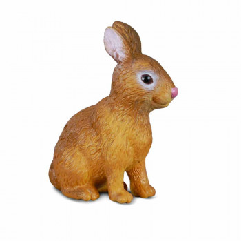 COLLECTA ZEC 3cm X 4cm 