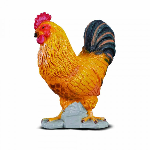 COLLECTA PETAO 4.5cm X 5cm 