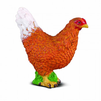 COLLECTA KOKOSKA 4cm X 4cm 