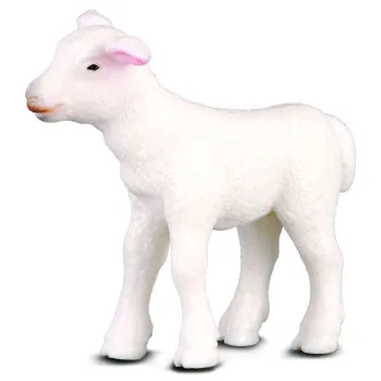 COLLECTA JAGNJE 4.5cm X 4cm