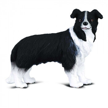 COLLECTA BORDER COLLIE 