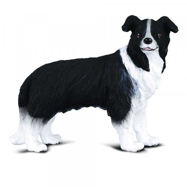 COLLECTA BORDER COLLIE 