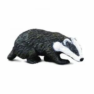 COLLECTA JAZAVAC 7cm X 2.5cm
