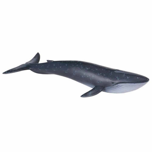 COLLECTA PLAVI KIT 23cm X 2.5cm 