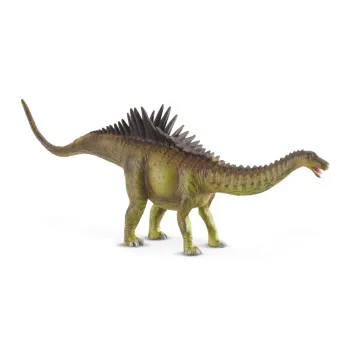COLLECTA AGUSTINIA 19cm X 6.5cm
