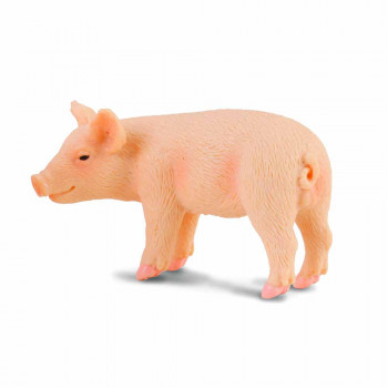 COLLECTA PRASE KOJE STOJI 4cm X 2.5cm 