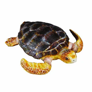 COLLECTA KORNJACA 7cm X 1cm