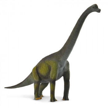 COLLECTA BRACIOSAURUS 18.5cm X 13cm 