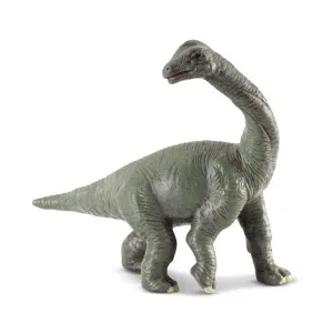 COLLECTA BEBA BRAHIOSAURUSA 7.5cm X 6.5cm