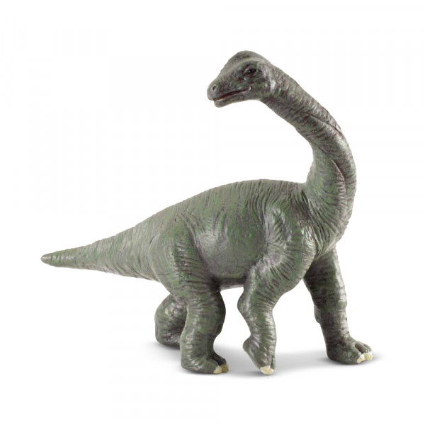 COLLECTA BEBA BRAHIOSAURUSA 7.5cm X 6.5cm 