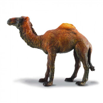 COLLECTA KAMILA 10cm X 7.5cm 