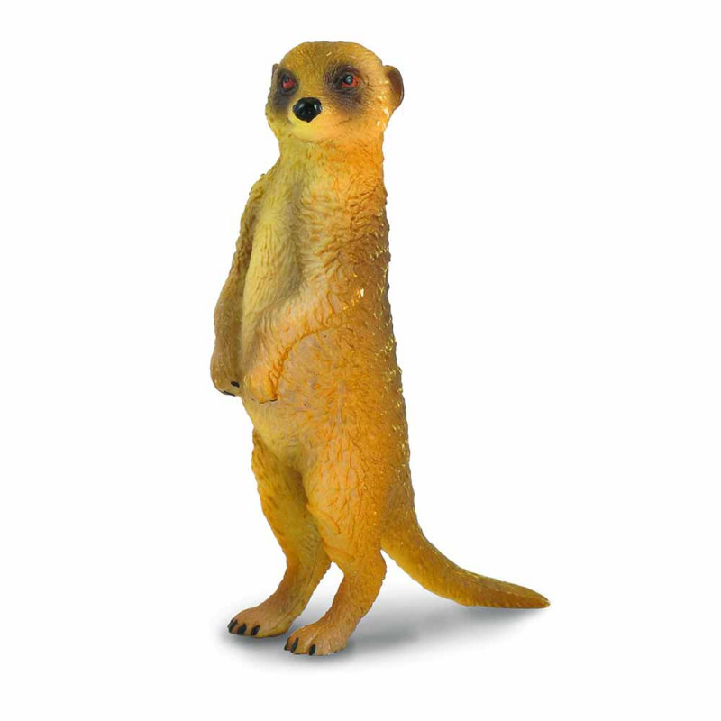 COLLECTA MERKAT