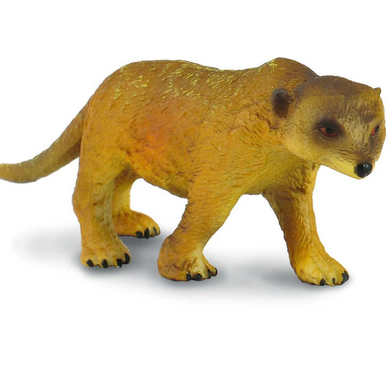 COLLECTA MERKAT U POKRETU