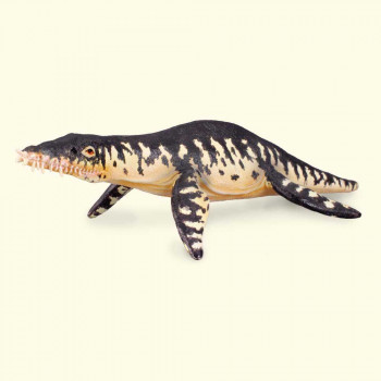 COLLECTA LIOPLEURODON 17cm X 3cm 