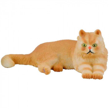 COLLECTA PERSIJSKA MACKA 7cm X 2.5cm 