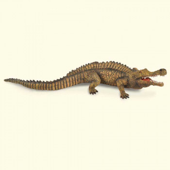 COLLECTA SARCOSUCHUS 