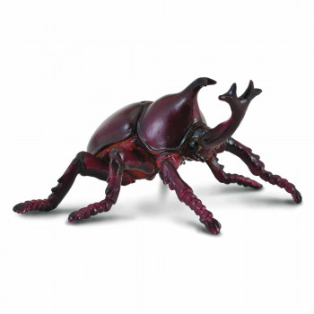 COLLECTA RHINOCEROS BEETLE 
