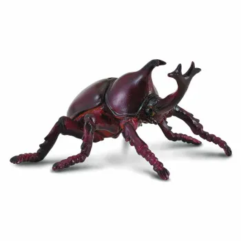 COLLECTA RHINOCEROS BEETLE 