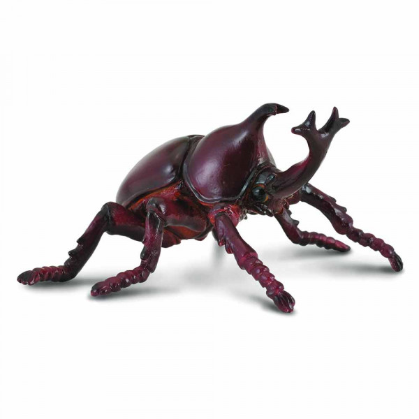 COLLECTA RHINOCEROS BEETLE 