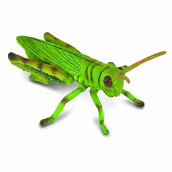 COLLECTA SKAKAVAC 8.2cm X 5.5cm