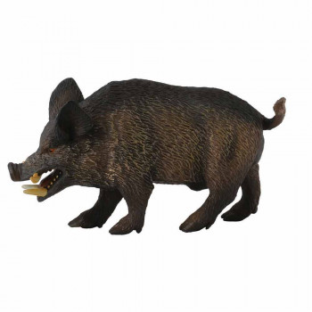 COLLECTA DIVLJI VEPAR 9cm X 4.5cm 