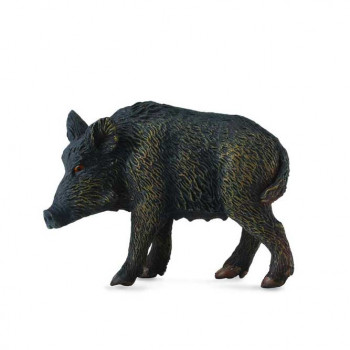 COLLECTA DIVLJA SVINJA 