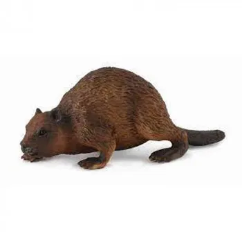 COLLECTA DABAR 5.5cm X 3.5cm