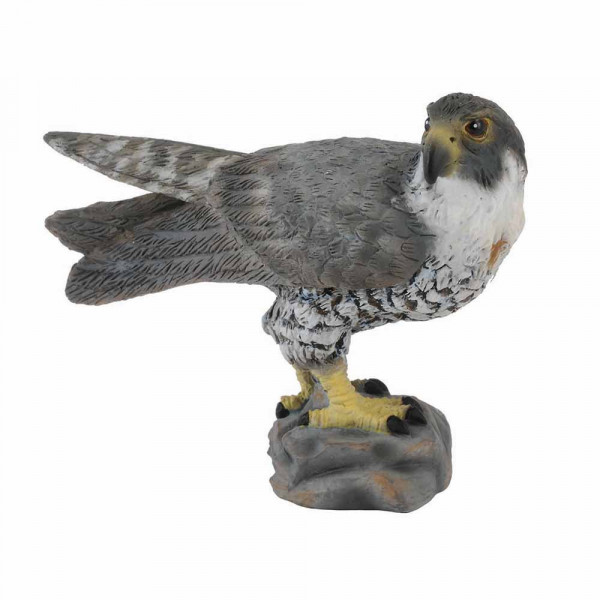 COLLECTA SOKO 6.5cm X 4.5cm 