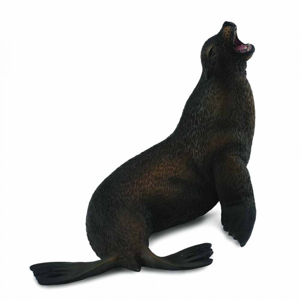 COLLECTA MORSKI  LAV 10.5cm X 7 cm 