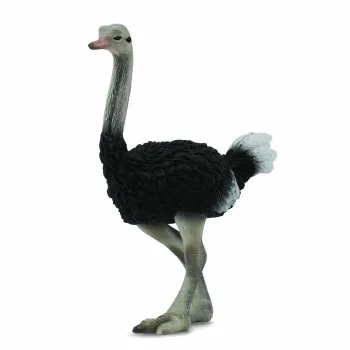 COLLECTA NOJ 7.5cm X 9cm