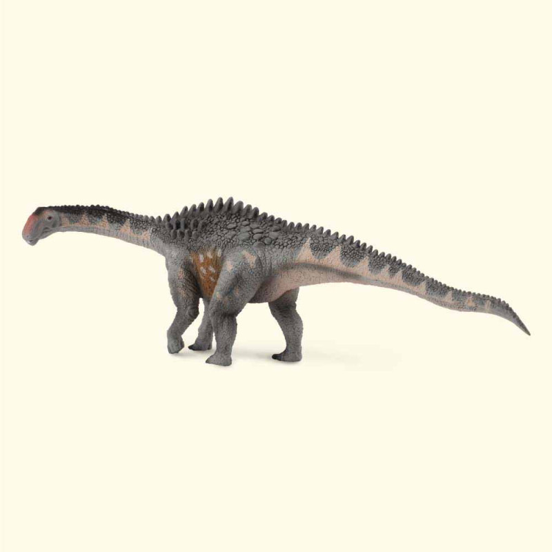 COLLECTA AMPELOSAURUS 21cm X 6cm