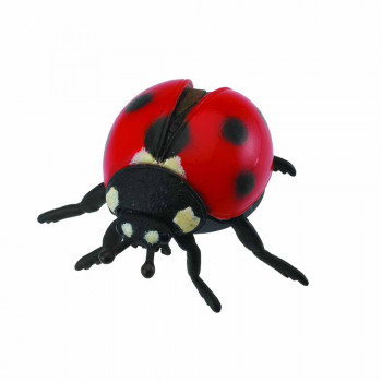 COLLECTA BUBAMARA 5.5cm X 2.5 cm 